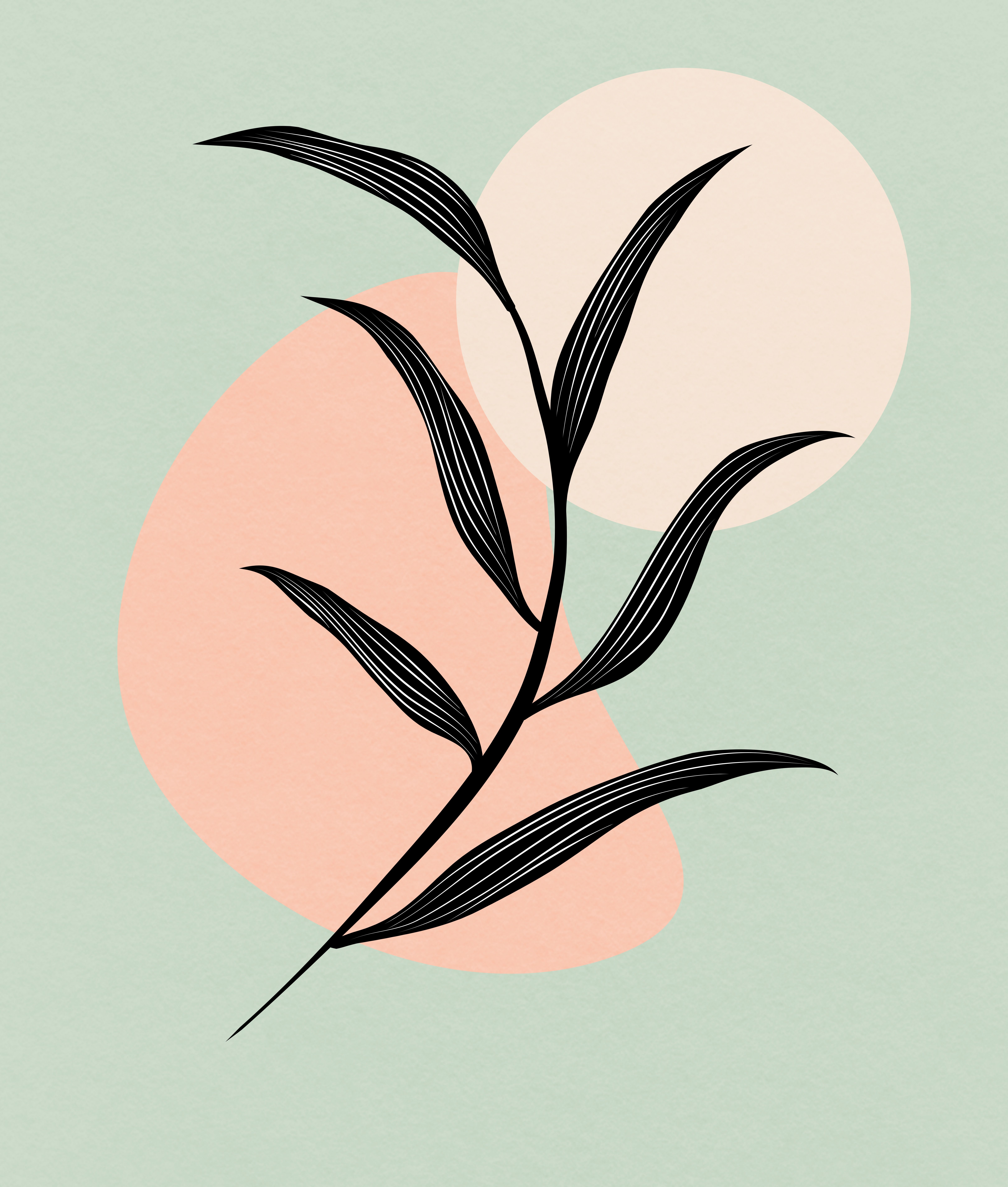 柳影夢境 Willow Dream